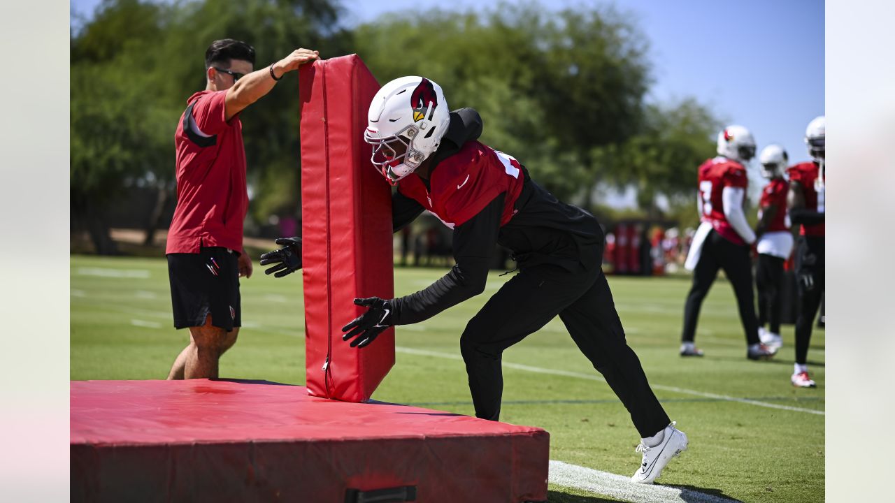 Marco Wilson, Cardinals Defense Readies For Niners' Scheme