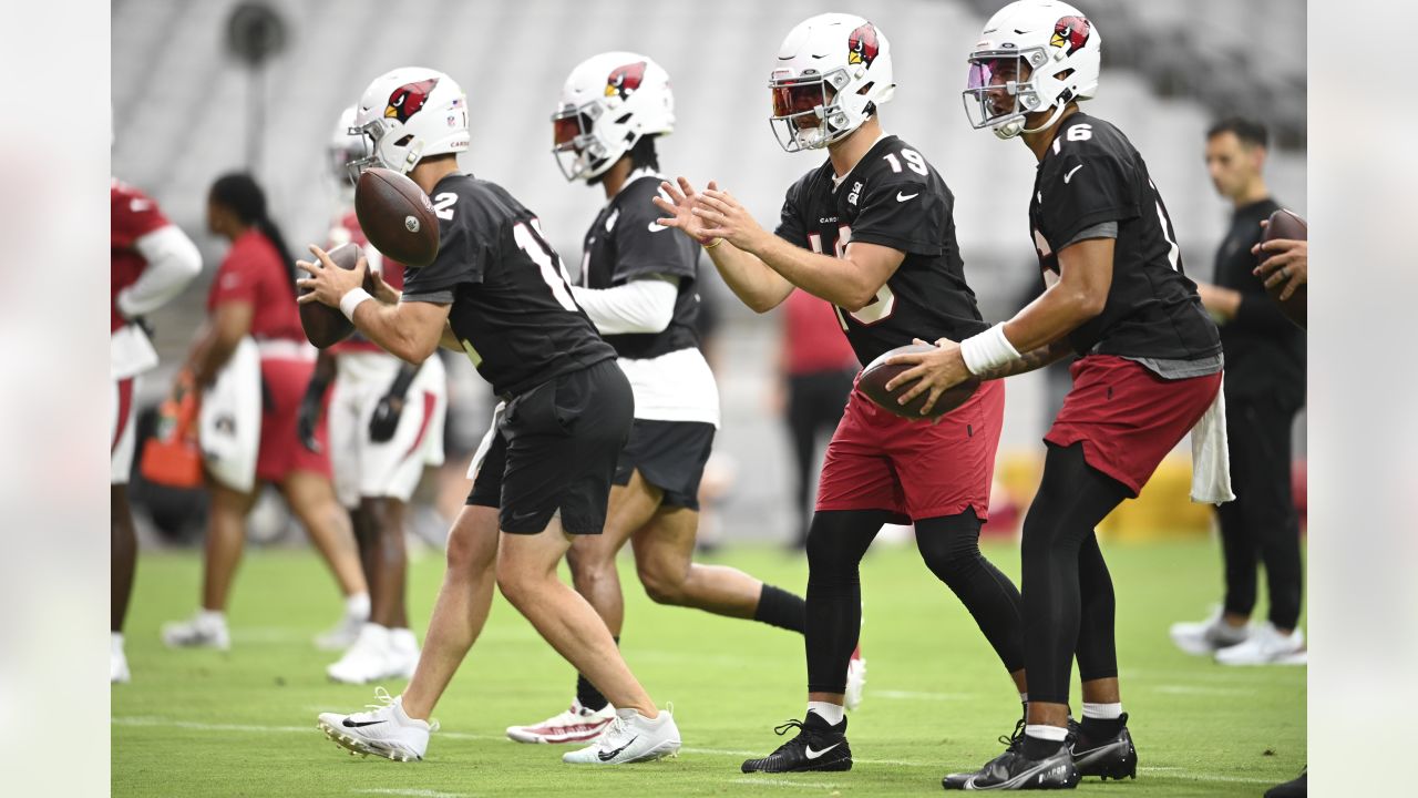 Around The NFL on X: Cardinals' TD-machine James Conner hopes to stick  around Arizona for more than one season    / X