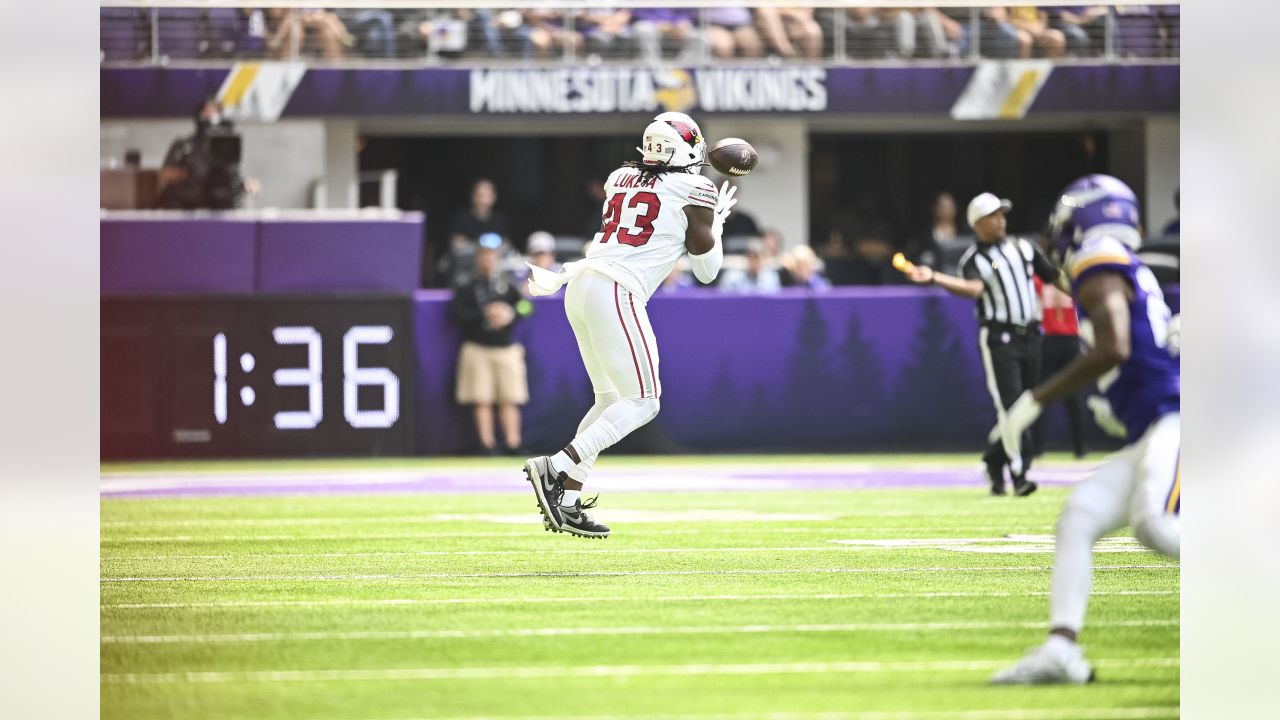 Arizona Cardinals vs Minnesota Vikings 2023 preseason game thread - Revenge  of the Birds