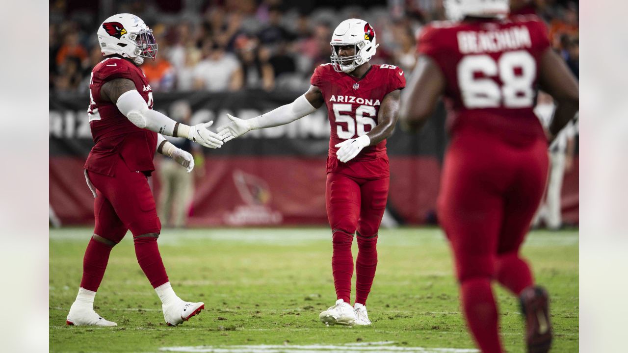 Cardinals pass-rusher Dennis Gardeck to go on IR, ending his season