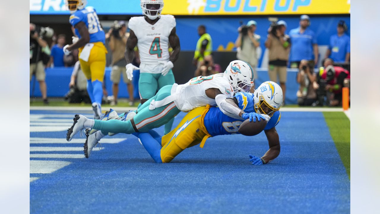 Los Angeles, United States. 10th Sep, 2023. Miami Dolphins wide receiver  River Cracraft (85) reacts after making a catch against the Los Angeles  Chargers during an NFL football game. Miami Dolphins 36:34