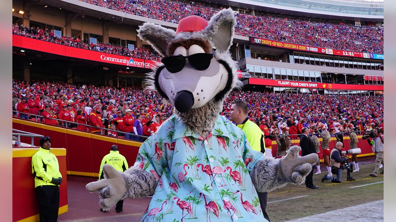 Kansas City Chiefs mascot hurt during practice at Arrowhead – The