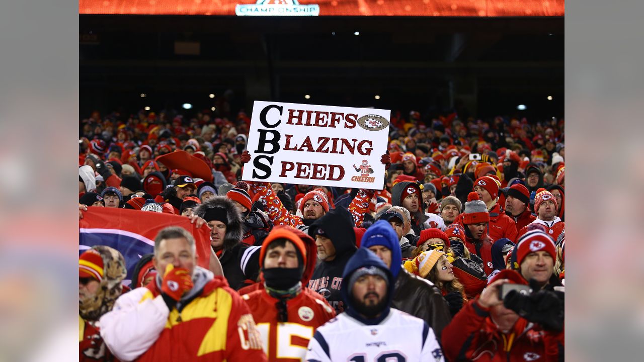 Notes from the AFC Championship Game matchup: New England Patriots at  Kansas City Chiefs - Revenge of the Birds