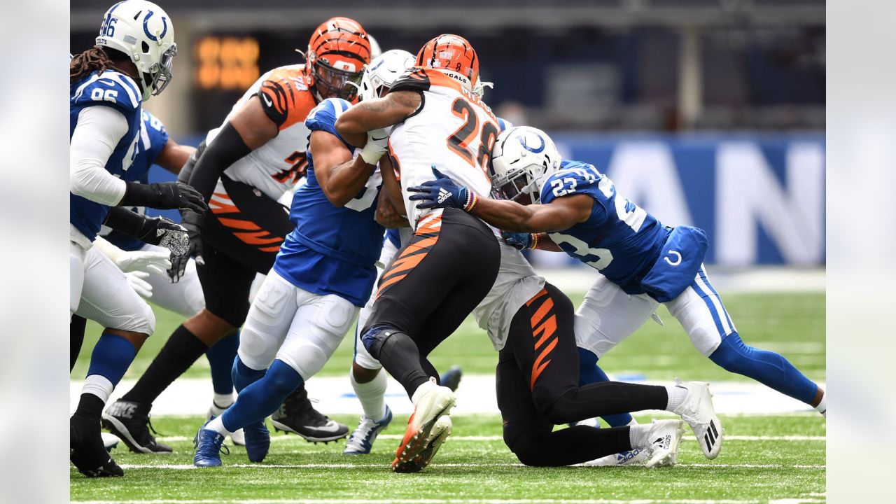 The Colts will host up to 12,500 fans for their Week 6 home matchup against  the Bengals