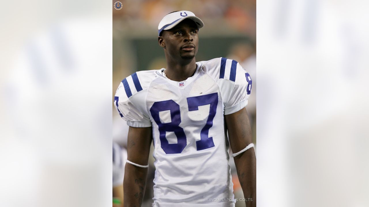 Reggie Wayne NFL: Indianapolis Colts cut legend after 14 seasons with team