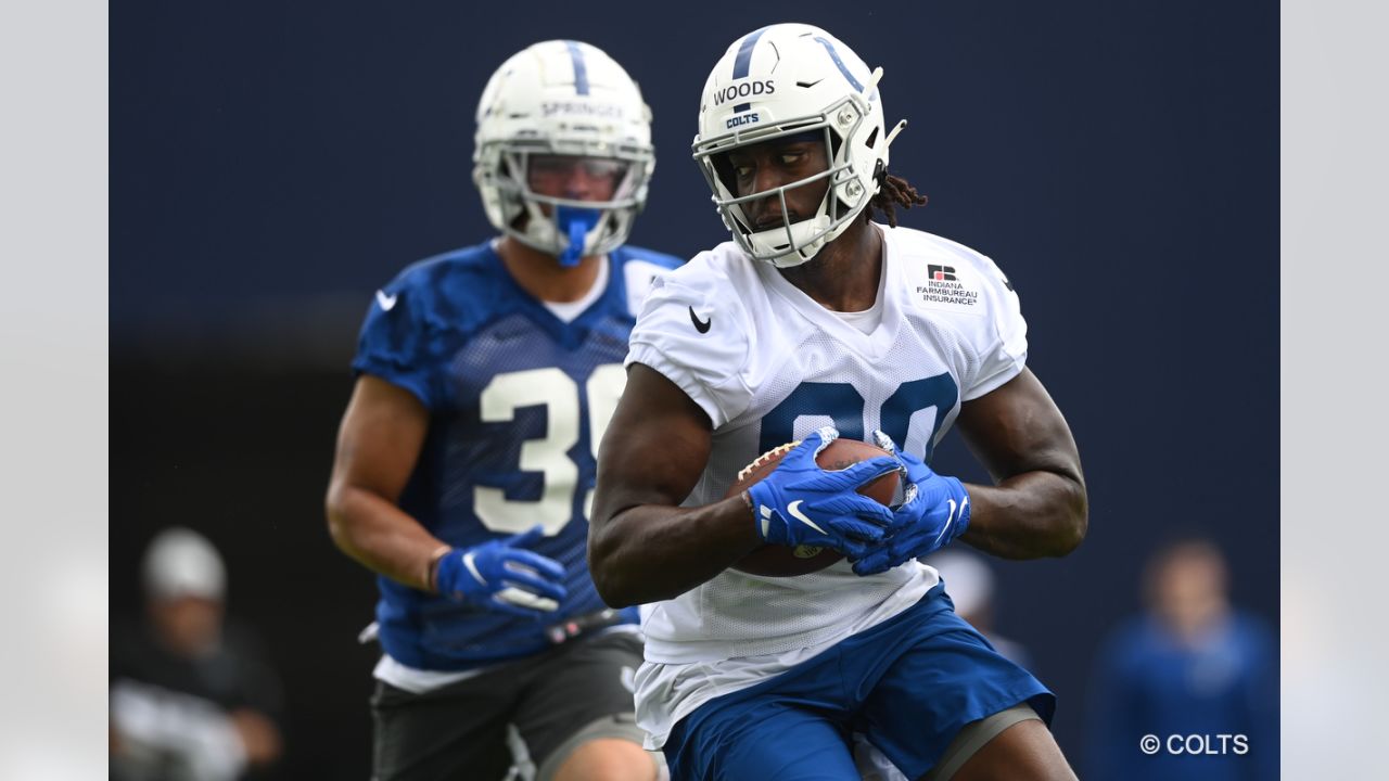 The Early Returns from Colts Top Rookie WR Alec Pierce Have Been Promising  at Minicamp - Stampede Blue