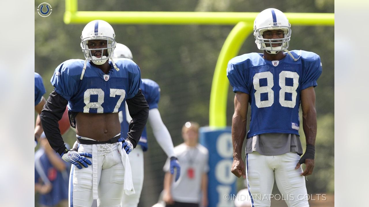 Colts' All-Time Franchise Great WR Reggie Wayne Named Pro Football HoF  Class of 2022 Finalist - Stampede Blue