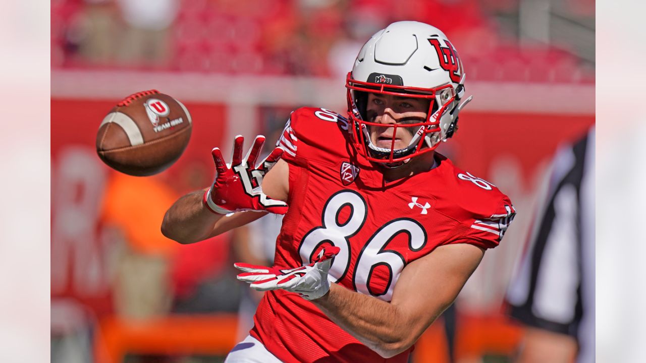 Arizona Cardinals tight end Stephen Anderson (89) during the first half of  an NFL football game against the Los Angeles Chargers, Sunday, Nov. 27,  2022, in Glendale, Ariz. (AP Photo/Rick Scuteri Stock