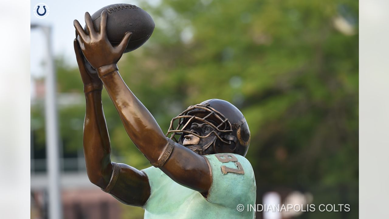 Reggie Wayne to receive key to Indianapolis - Stampede Blue