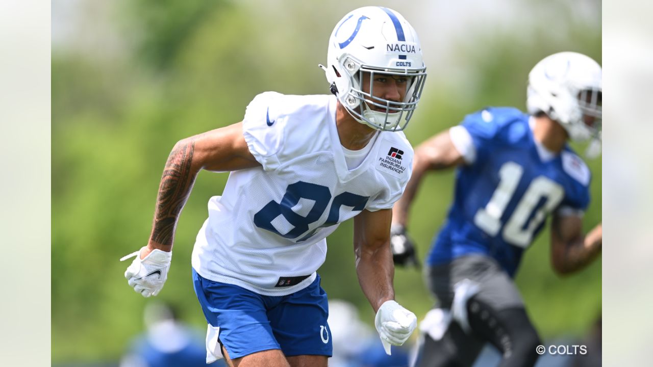 The Early Returns from Colts Top Rookie WR Alec Pierce Have Been Promising  at Minicamp - Stampede Blue