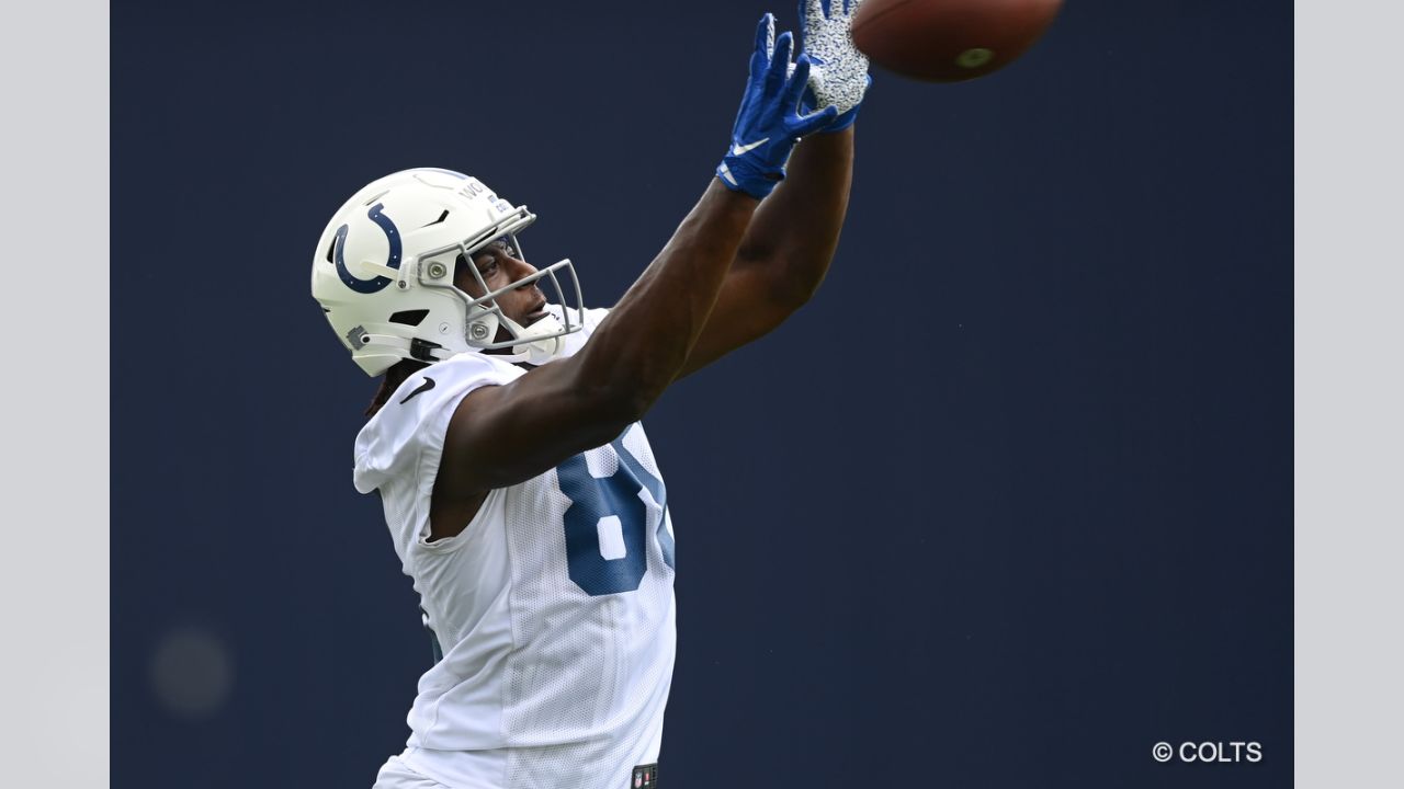 The Early Returns from Colts Top Rookie WR Alec Pierce Have Been Promising  at Minicamp - Stampede Blue