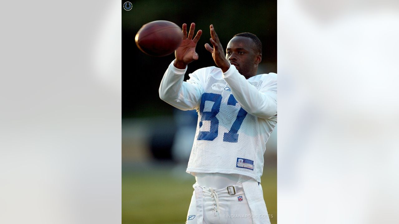 Colts' Reggie Wayne inducted into team's ring of honor at Lucas Oil