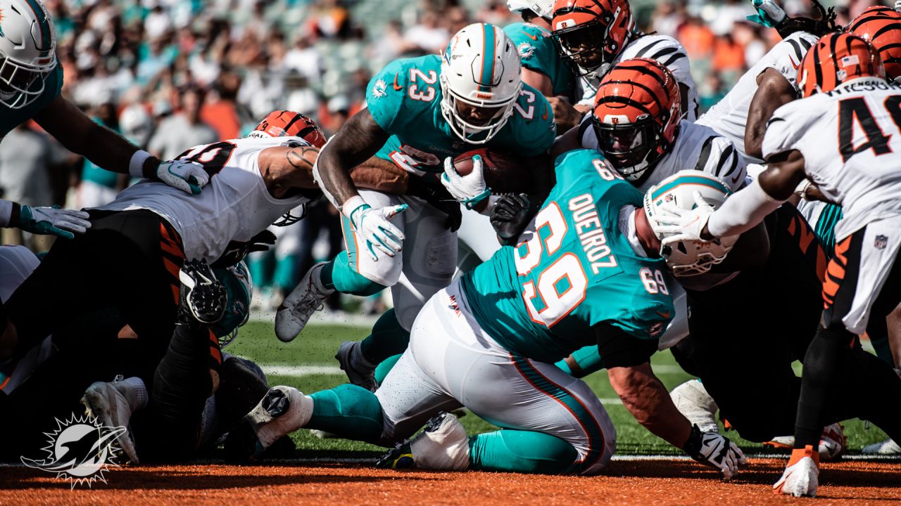 PHOTOS: Gameday - Dolphins vs. Bengals - Preseason Week 3