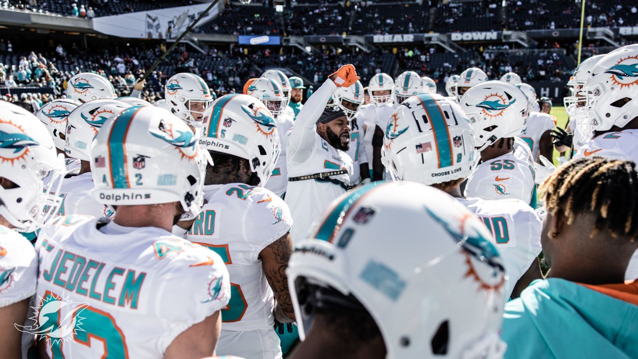 PHOTOS: Gameday - Miami Dolphins at Chicago Bears - Week 9