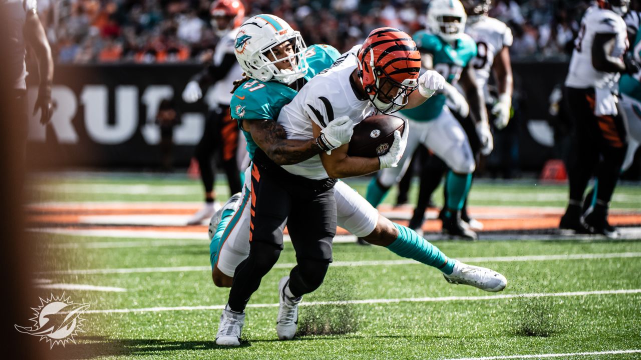 Dolphins v. Bengals Preseason Week 3 2021 - The Phinsider