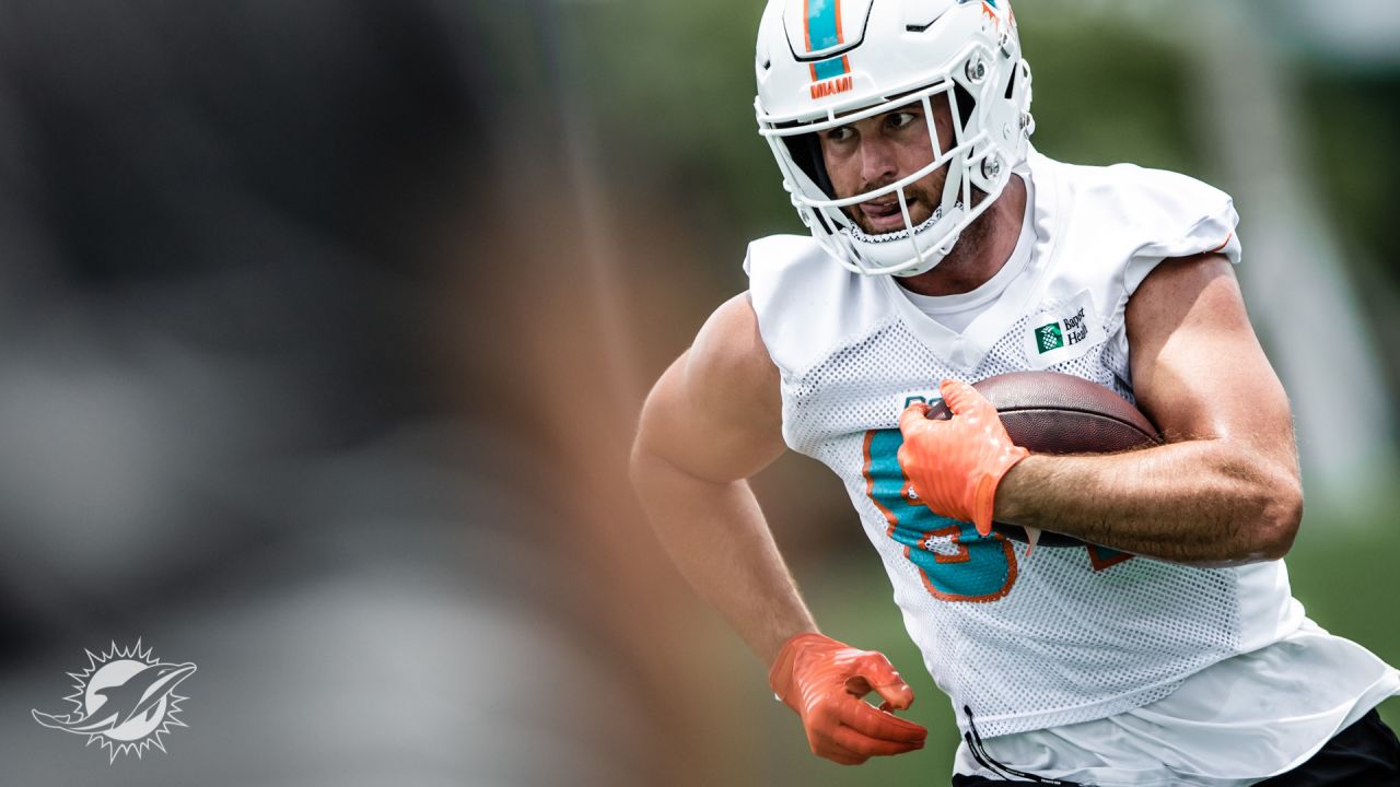 Miami Dolphins tight end Durham Smythe (81) on the field as the