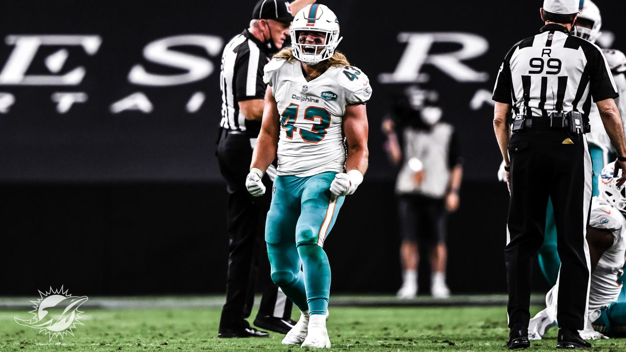 Miami Dolphins inside linebacker Andrew Van Ginkel (43) celebrates after  sacking New York Jets quarterback Zach Wilson (2) during the second half of  an NFL football game, Sunday, Dec. 19, 2021, in