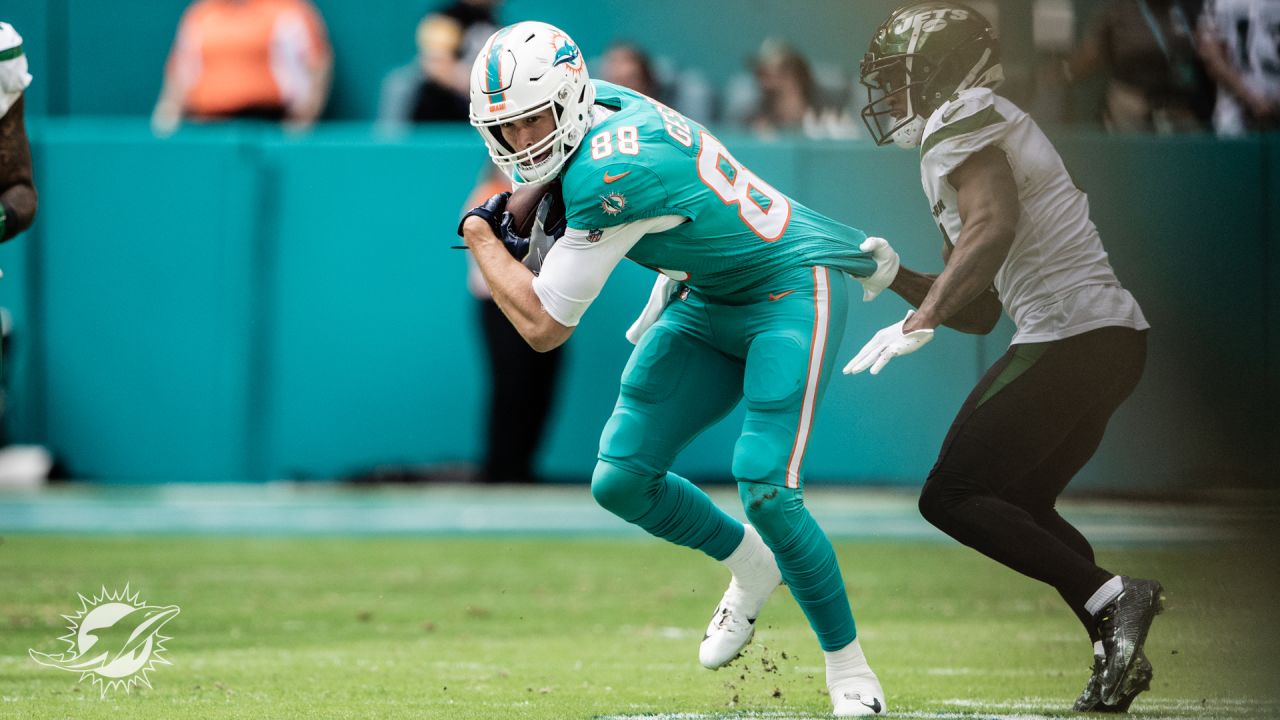 PHOTOS: Gameday - New York Jets vs Miami Dolphins - Week 18