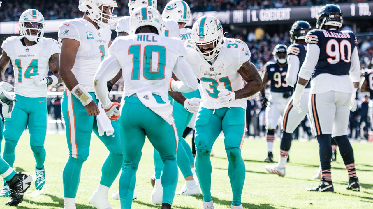 Photo gallery: Dolphins at Bears