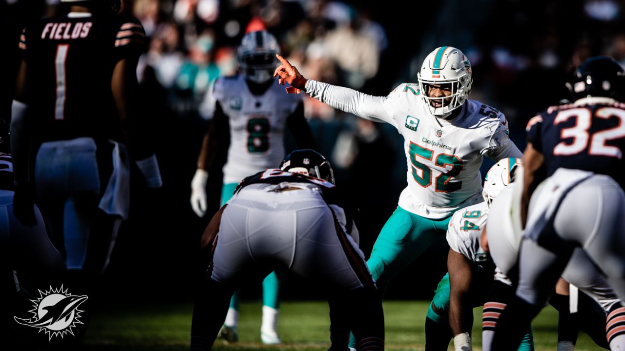 PHOTOS: Gameday - Miami Dolphins at Chicago Bears - Week 9