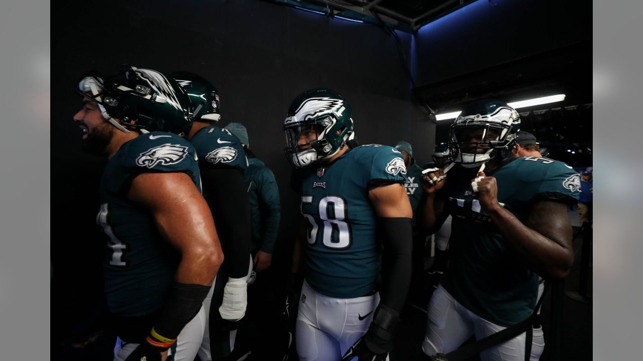 Mike Trout was cheering on the Eagles in a dog mask at the NFC