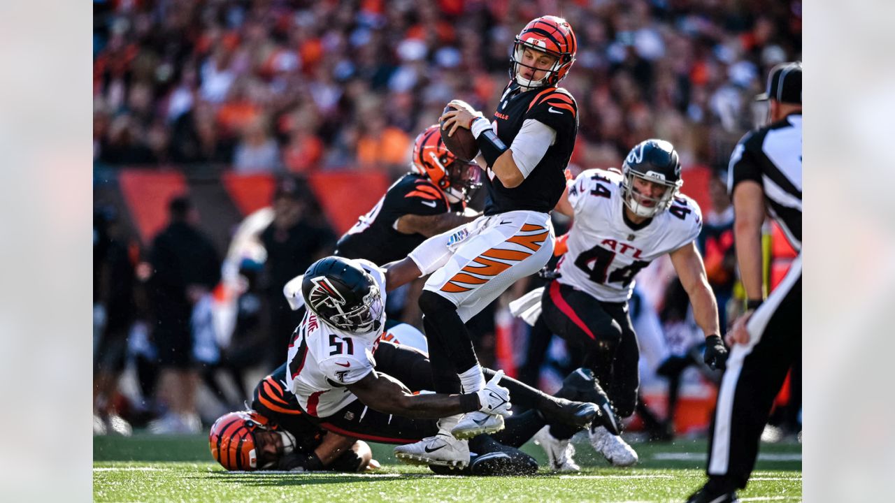 Falcons vs. Bengals: Top photos from Week 7 matchup