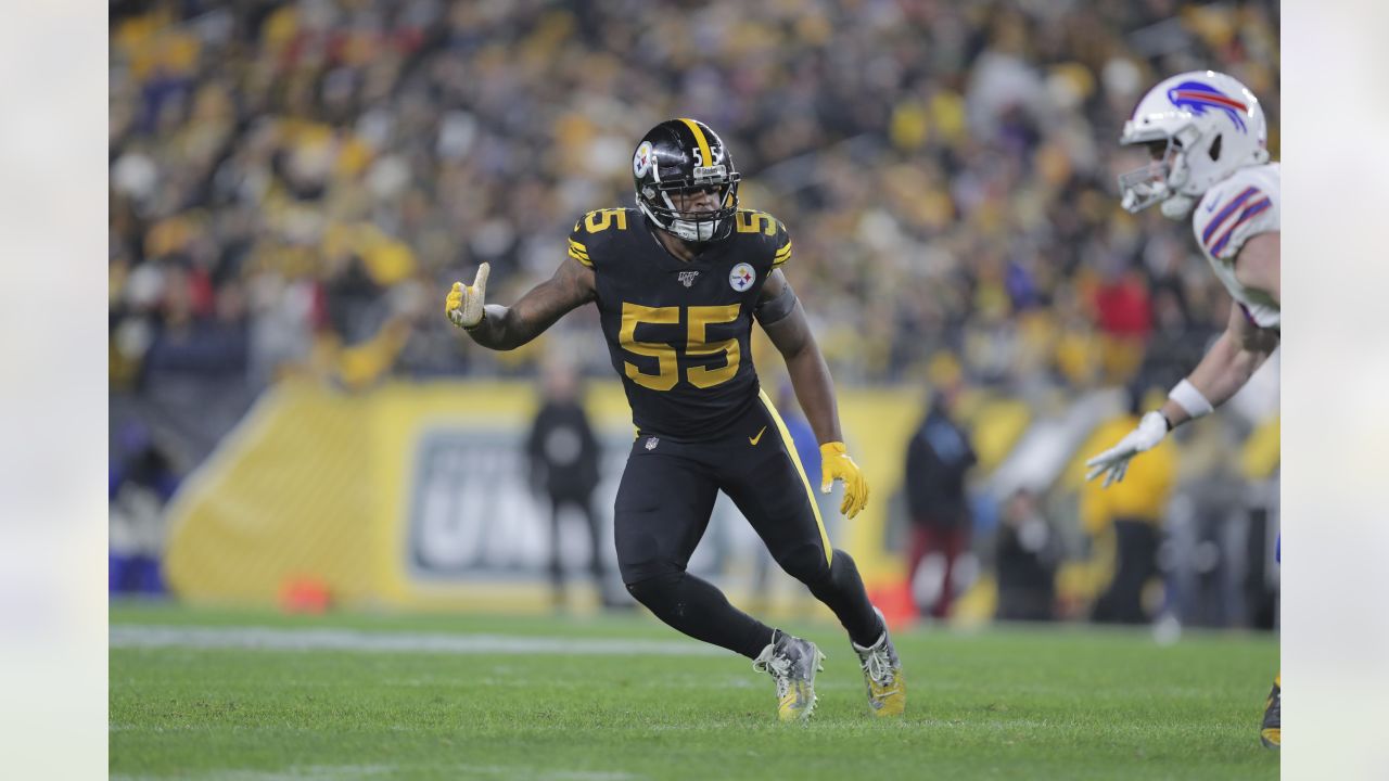 Pittsburgh Steelers defensive tackle Chris Hoke (76) stands on the