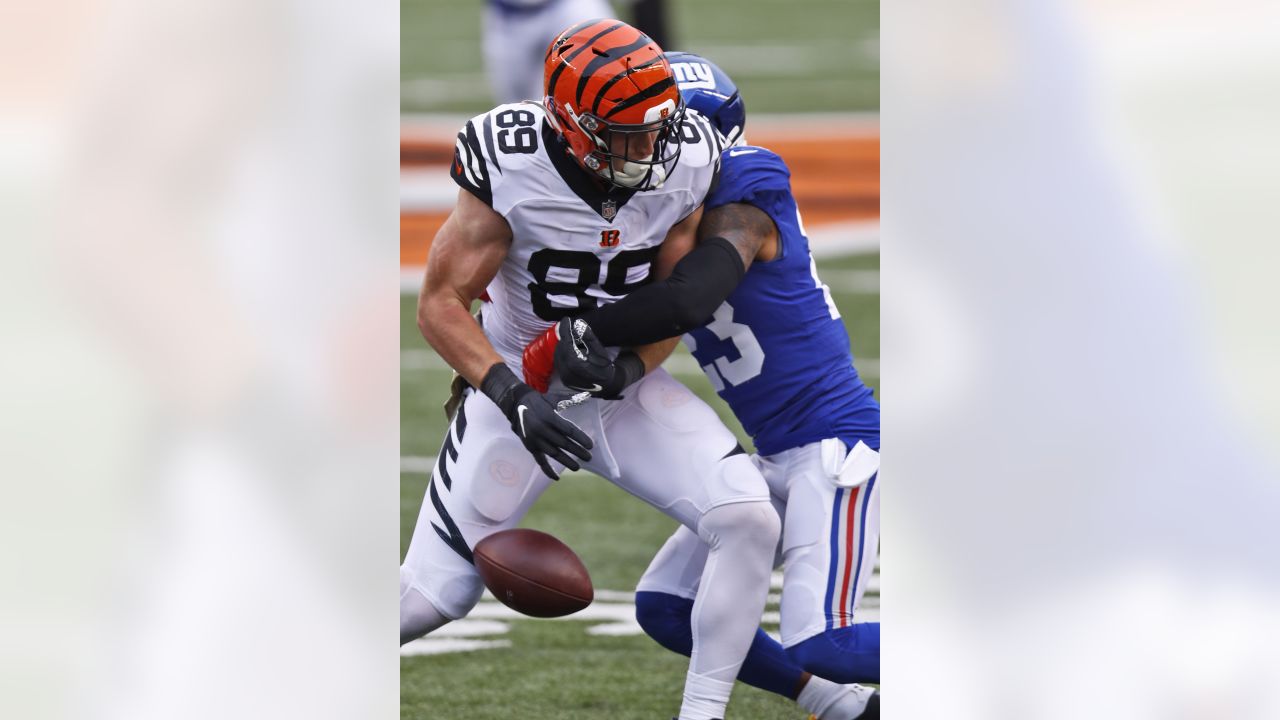 Cincinnati Bengals tight end Drew Sample (89) lines up for a play