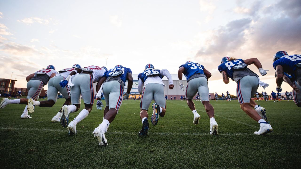 Alex Tanney Stats, News and Video - QB