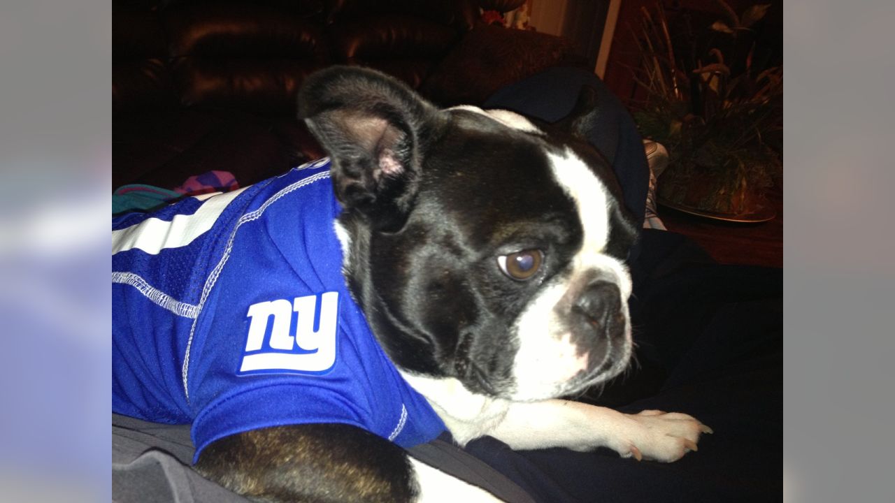 Giants fans submit photos on National Puppy Day