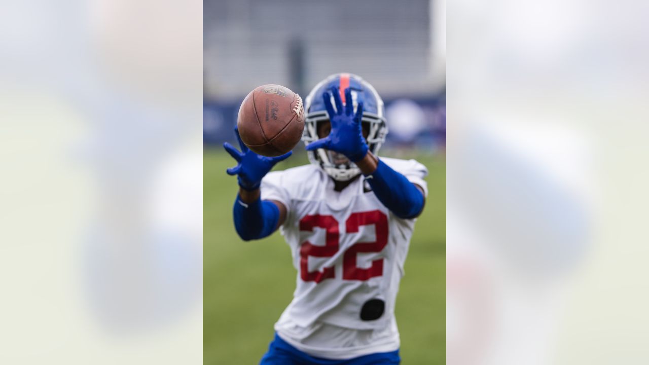 New York Giants WR Darius Slayton returning vs. Carolina Panthers; Sterling  Shepard inactive - ABC7 New York