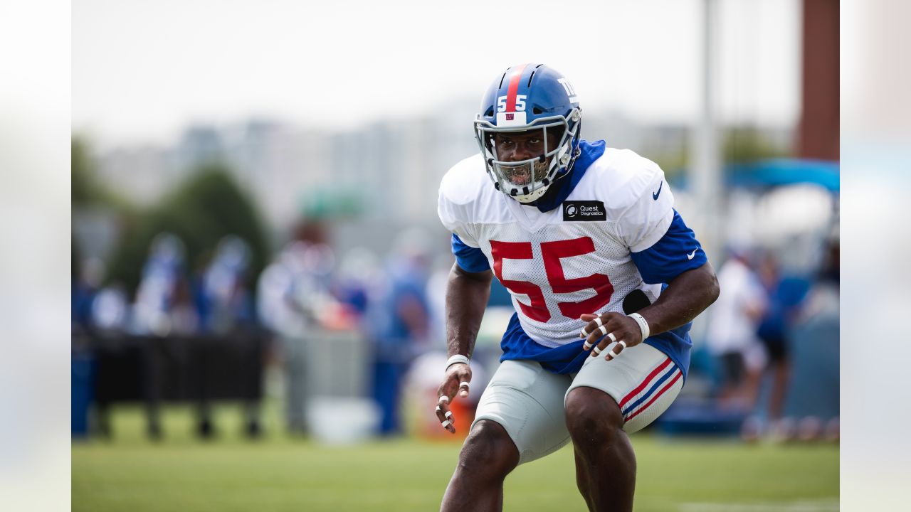 Buffalo Bills: Preparing for the Worst With Reggie Ragland