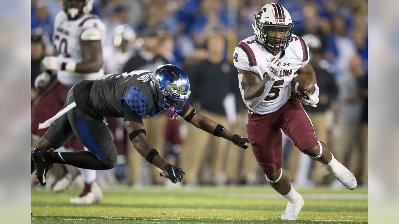 Washington Redskins Select Stanford RB Bryce Love In Fourth Round Of 2019 NFL  Draft - Hogs Haven