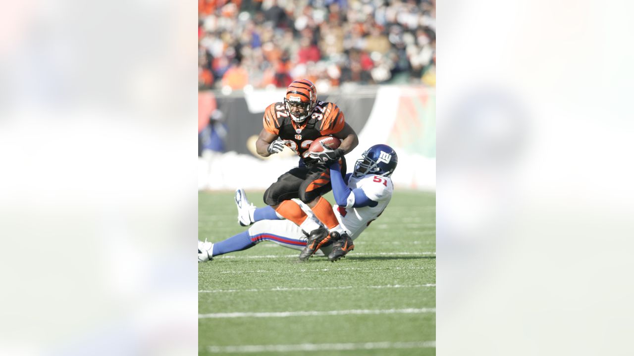 Cincinnati Bengals half back Rudi Johnson (32) runs the ball for a