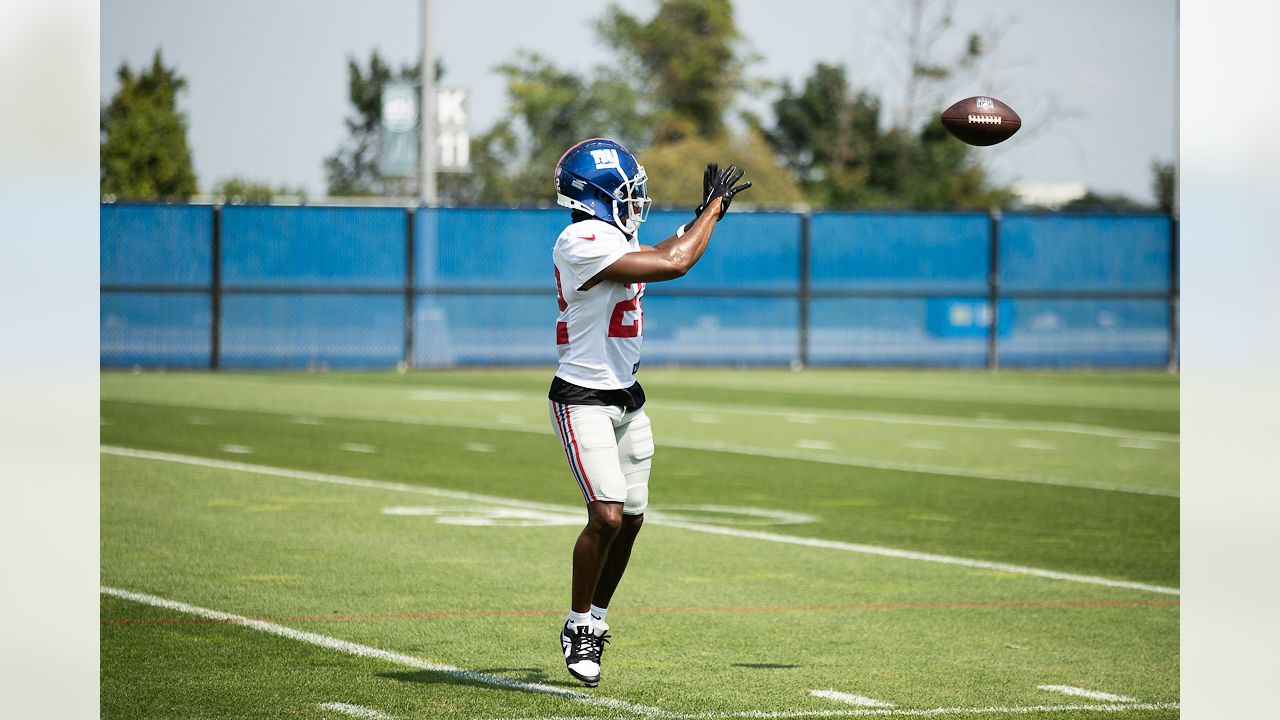 Vikings' fan rewarded with game ball after flipping off Giants' Isaiah  Hodgins