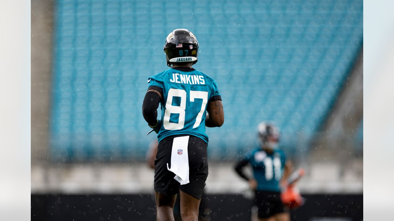 Jacksonville Jaguars safety Antonio Johnson catches a pass on a