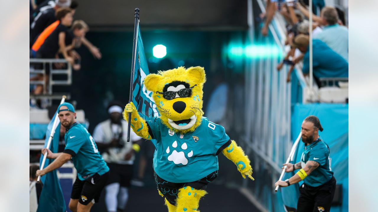 SB Nation] The Jaguars mascot got stuck on his bungie and had to be lowered  into the stands. Nothing good is happening for the Jags right now. : r/nfl