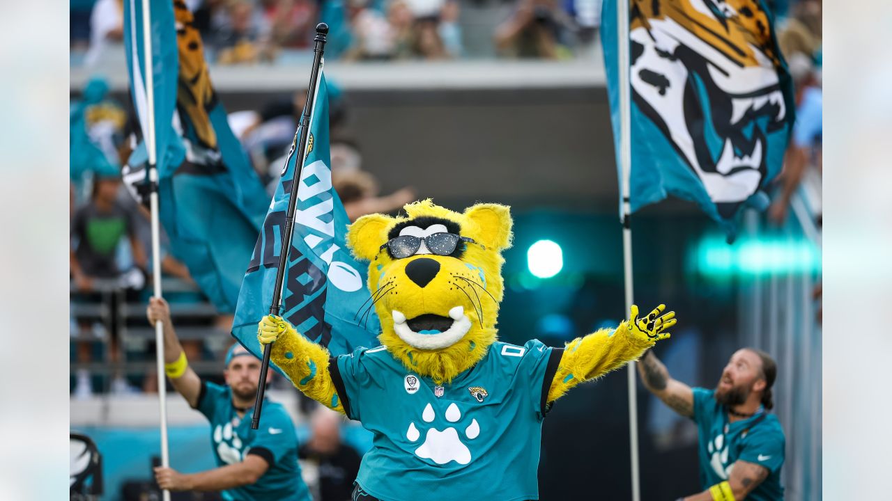 Photo: Jacksonville Jaguars fans celebrate a 45-42 win over the Pittsburgh  Steelers - PIT20180114320 