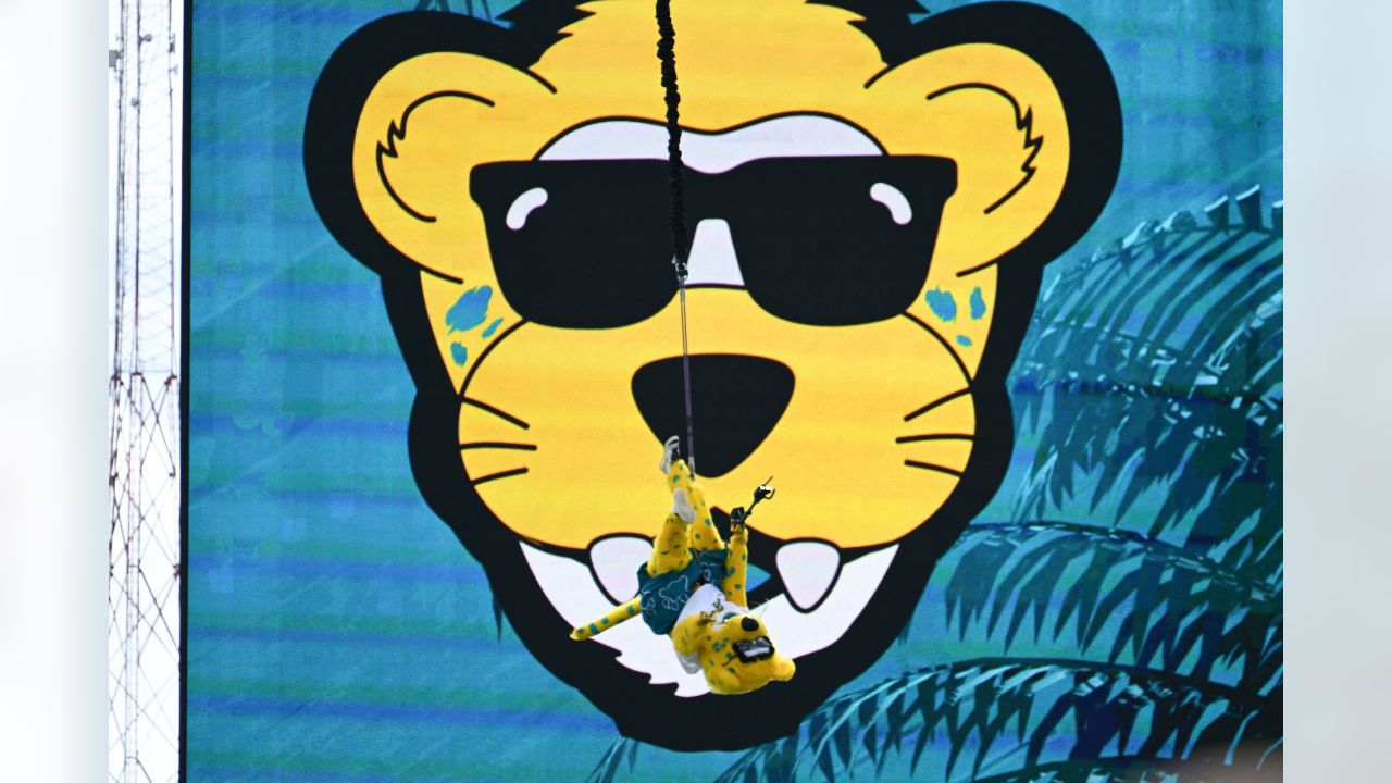 JACKSONVILLE, FL - NOVEMBER 06: Jacksonville Jaguars mascot Jaxson