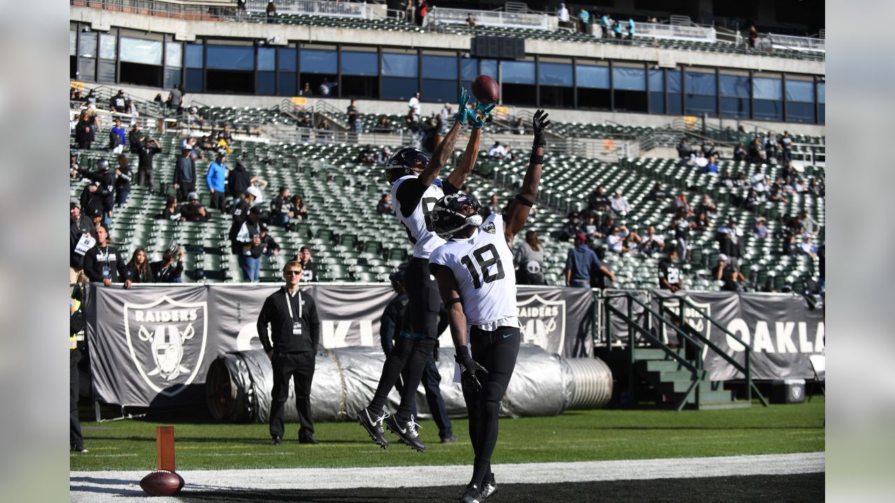 Raiders stunned by Jaguars, 20-16, in likely Oakland farewell