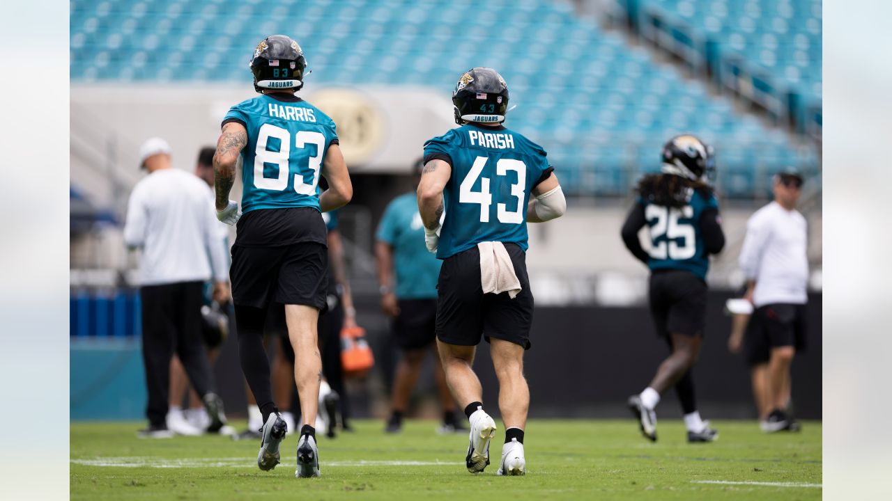 Jacksonville Jaguars That Continue To Impress - LWOPFB