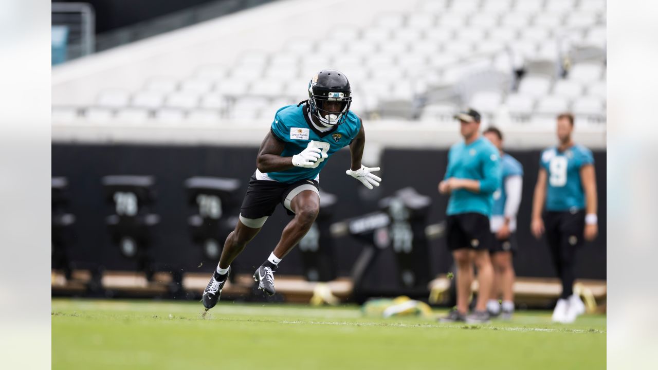 Jacksonville Jaguars That Continue To Impress - LWOPFB