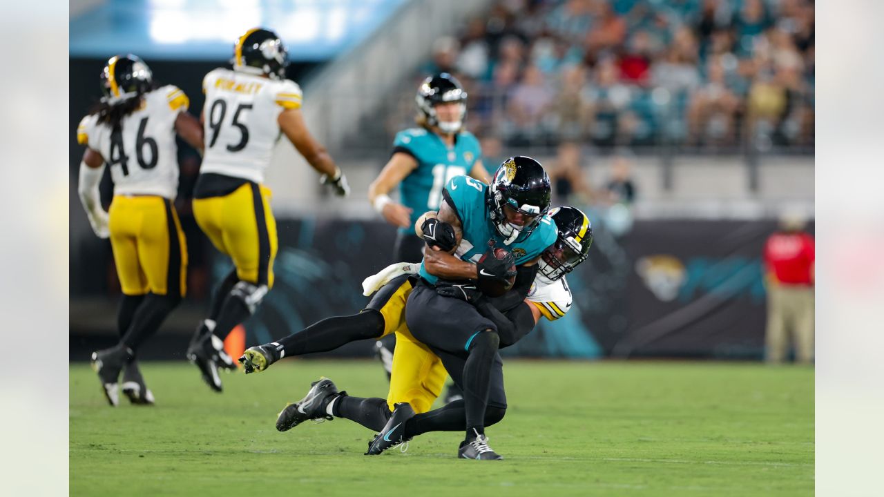 Rowdy fans fighting in the stands at Jacksonville Jaguars vs. Pittsburgh  Steelers preseason game