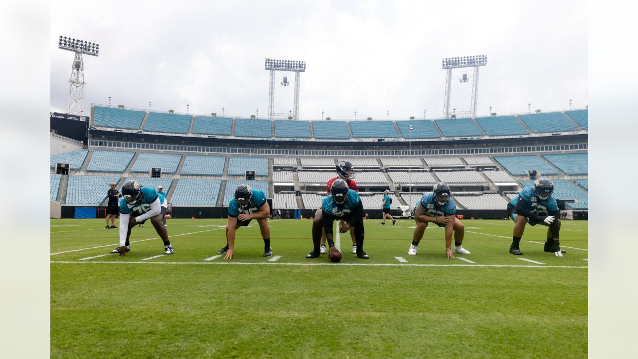 Section 233 at Bank of America Stadium 