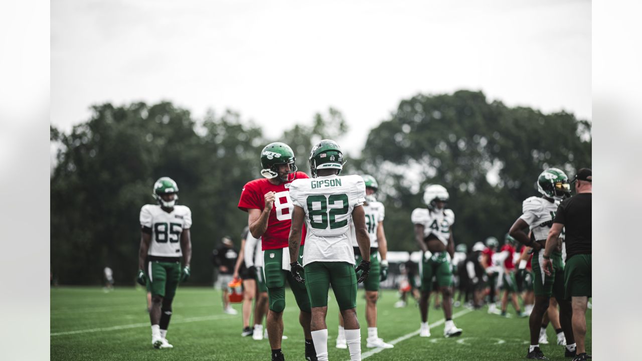 Safety Tony Adams continues to be an unexpected surprise for Jets