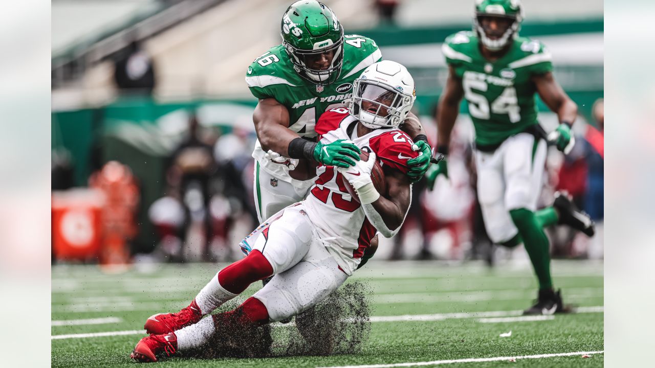 Arizona Cardinals offensive snap counts in their win over the New York Jets  - Revenge of the Birds