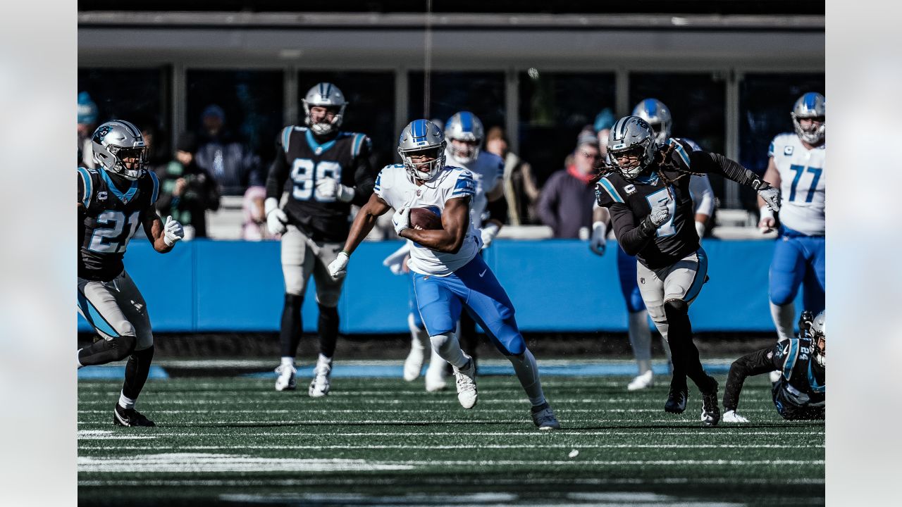 Detroit Lions running back Craig Reynolds (13) looks on against the  Carolina Panthers during a preseason NFL football game Friday, Aug. 25,  2023, in Charlotte, N.C. (AP Photo/Jacob Kupferman Stock Photo - Alamy