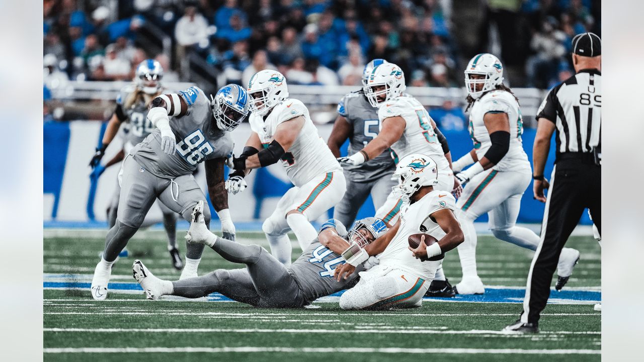 Detroit Lions linebacker Malcolm Rodriguez (44) pursues a play on defense  against the Miami Dolphins during an NFL football game, Sunday, Oct. 30,  2022, in Detroit. (AP Photo/Rick Osentoski Stock Photo - Alamy