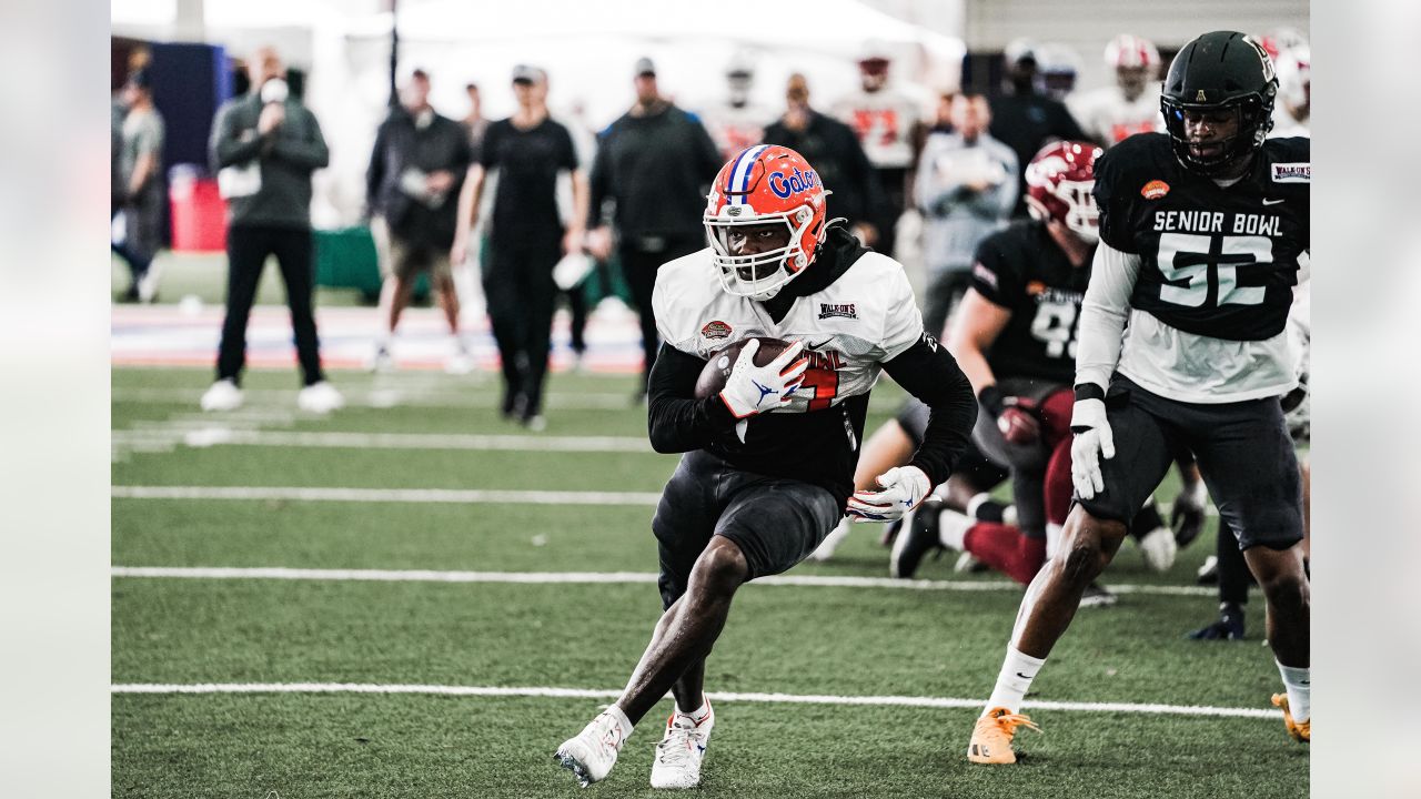 Dameon Pierce Named Senior Bowl Co-Offensive Rookie of the Year - Florida  Gators