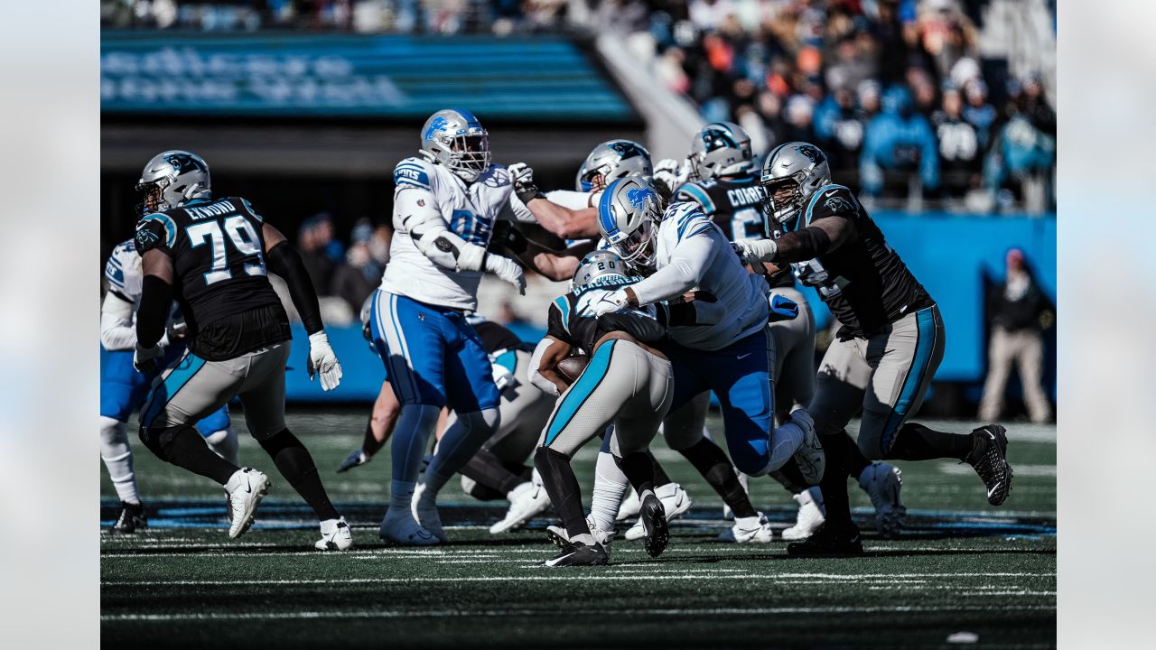 Detroit Lions running back Craig Reynolds (13) looks on against the  Carolina Panthers during a preseason NFL football game Friday, Aug. 25,  2023, in Charlotte, N.C. (AP Photo/Jacob Kupferman Stock Photo - Alamy